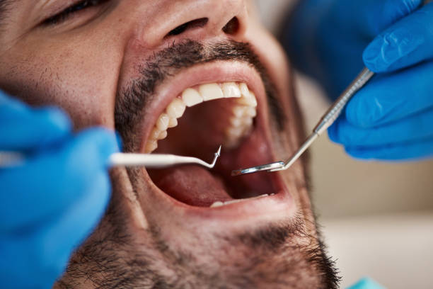 Best Cosmetic Dentistry  in Quincy, MI